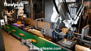 Flowpick Robot Pick & Place mq1