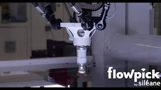 Flowpick Robot Pick & Place mq3